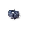 Leeson Electric Leeson 170001.60, Premium Eff., 20 HP, 1185 RPM, 208-230/460V, 286T, TEFC, Rigid 170001.6